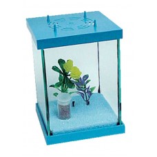 BETEIRA GRANDE QUADRADA (AQUARISMO) BETEIRA GRANDE QUADRADA (AQUARISMO)