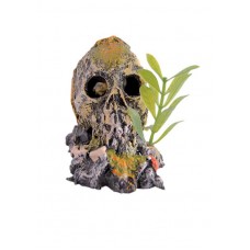 ENFEITE RESINA CAVEIRA MEDIA (AQUARISMO) ENFEITE RESINA CAVEIRA MEDIA (AQUARISMO)